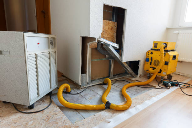 Best Commercial Mold Inspection  in Camp Hill, AL